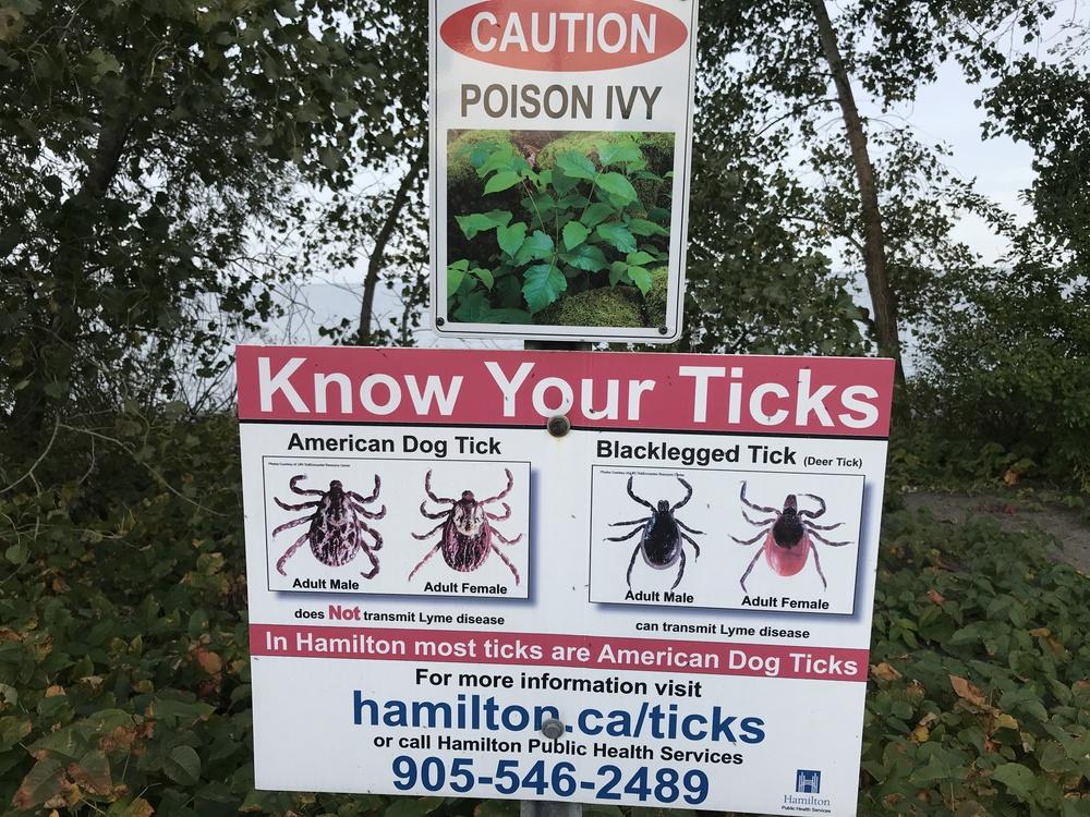 Fucking Ticks!
