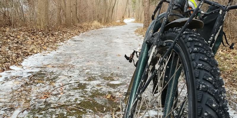 schwalbe marathon winter plus smartguard