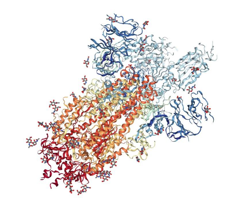 prefusion6VSB.jpg