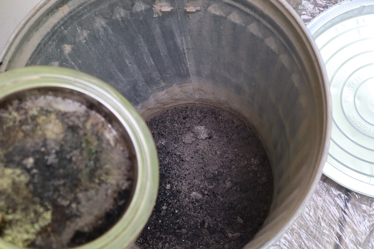 ash_in_bin.jpg