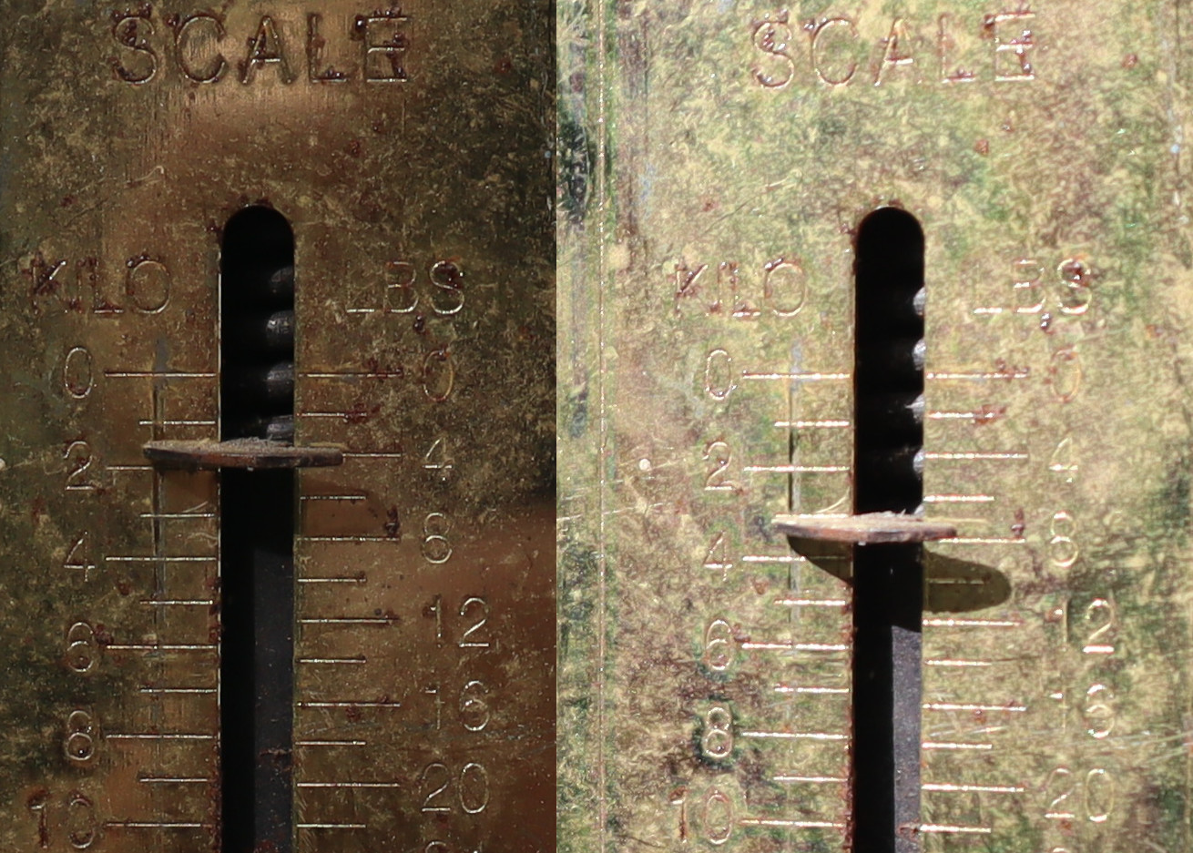 scale.jpg