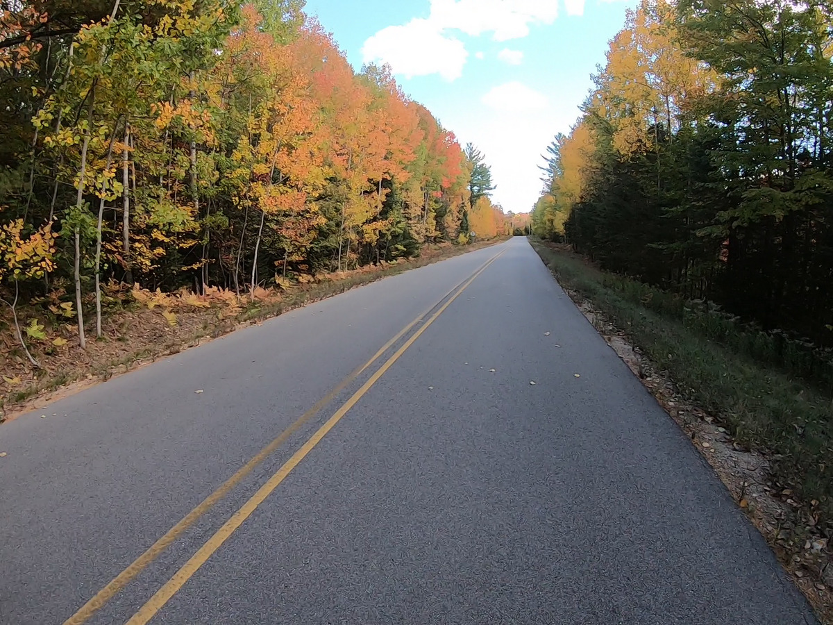 fall01.jpg