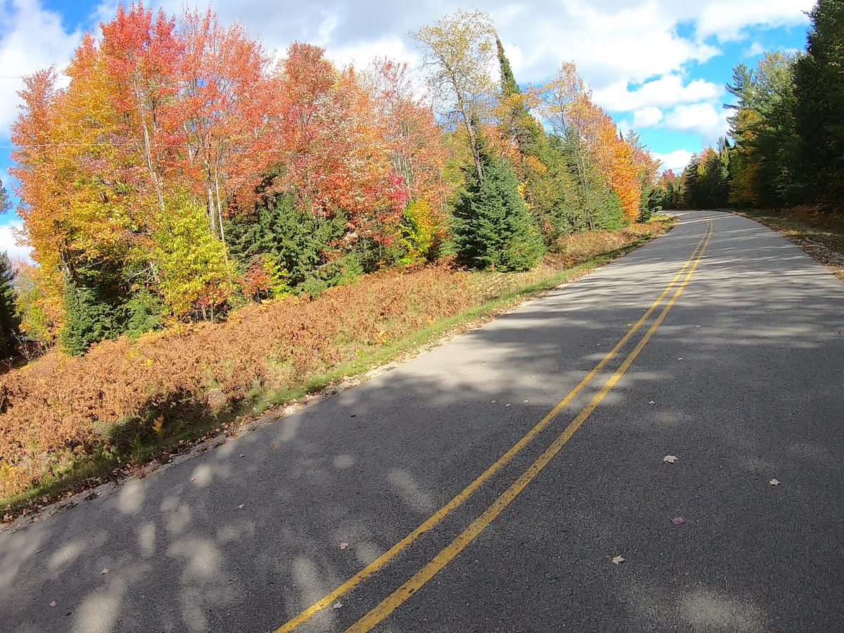 fall07.jpg