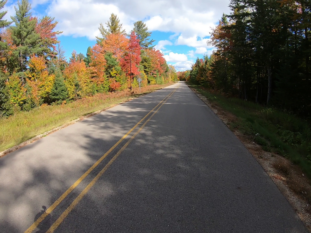fall08.jpg