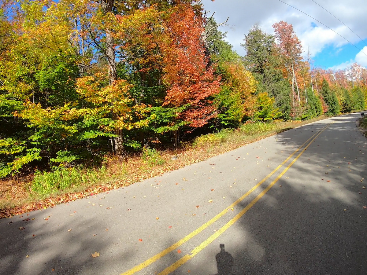 fall03.jpg