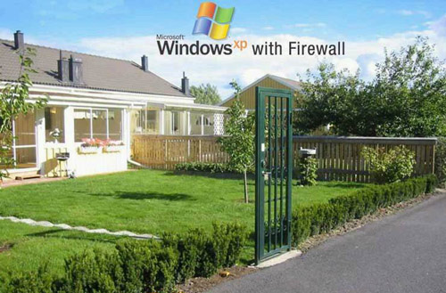 So-called Firewalls